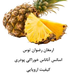 اسانس آناناس اروپایی حلال در آب پودری، مناسب تولید پودر شربت، ژله، نوشیدنی‌های پودری، دسر، پاستیل