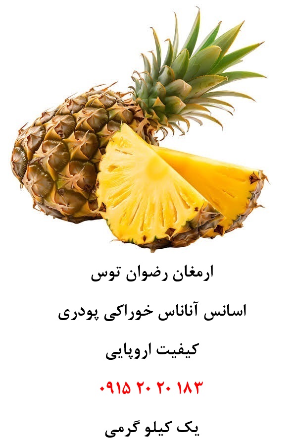 اسانس آناناس اروپایی حلال در آب پودری، مناسب تولید پودر شربت، ژله، نوشیدنیهای پودری، دسر، پاستیل