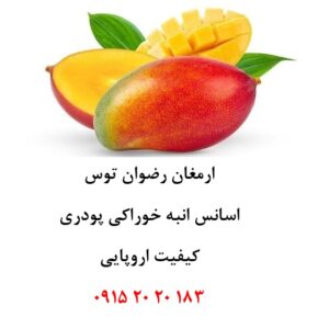 خرید اسانس انبه اروپایی حلال در آب پودری، مناسب تولید پودر شربت، ژله، نوشیدنی‌های فوری، دسر، پاستیل، بستنی