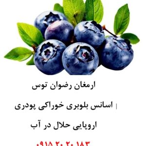 خرید اسانس بلوبری اروپایی حلال در آب پودری، مناسب تولید پودر شربت، ژله، نوشیدنی‌های فوری، دسر، بستنی، پاستیل و سایر محصولات صنایع غذایی