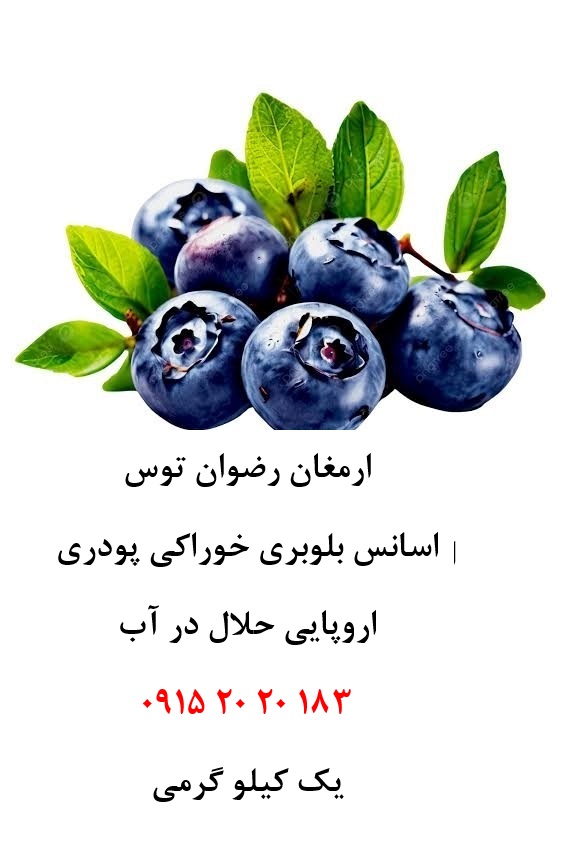 خرید اسانس بلوبری اروپایی حلال در آب پودری، مناسب تولید پودر شربت، ژله، نوشیدنیهای فوری، دسر، بستنی، پاستیل و سایر محصولات صنایع غذایی