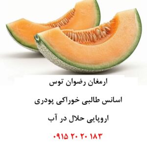 خرید اسانس طالبی اروپایی حلال در آب پودری، مناسب تولید پودر شربت، ژله، نوشیدنی‌های پودری، دسر، بستنی، پاستیل و سایر محصولات صنایع غذایی