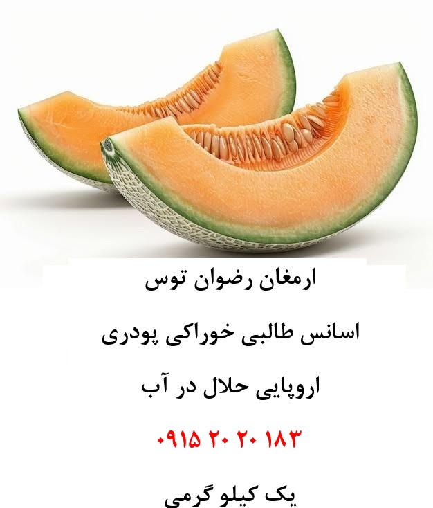 خرید اسانس طالبی اروپایی حلال در آب پودری، مناسب تولید پودر شربت، ژله، نوشیدنیهای پودری، دسر، بستنی، پاستیل و سایر محصولات صنایع غذایی