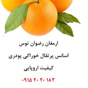خرید اسانس پرتقال اروپایی حلال در آب پودری، مناسب تولید پودر شربت، ژله، نوشیدنی‌های پودری، پاستیل، دسر و سایر محصولات صنایع غذایی. بسته ۱ کیلوگرمی